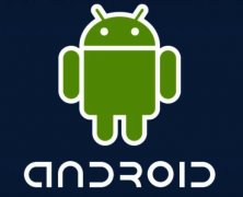 Google Android拒绝服务漏洞（CVE-2021-0958）